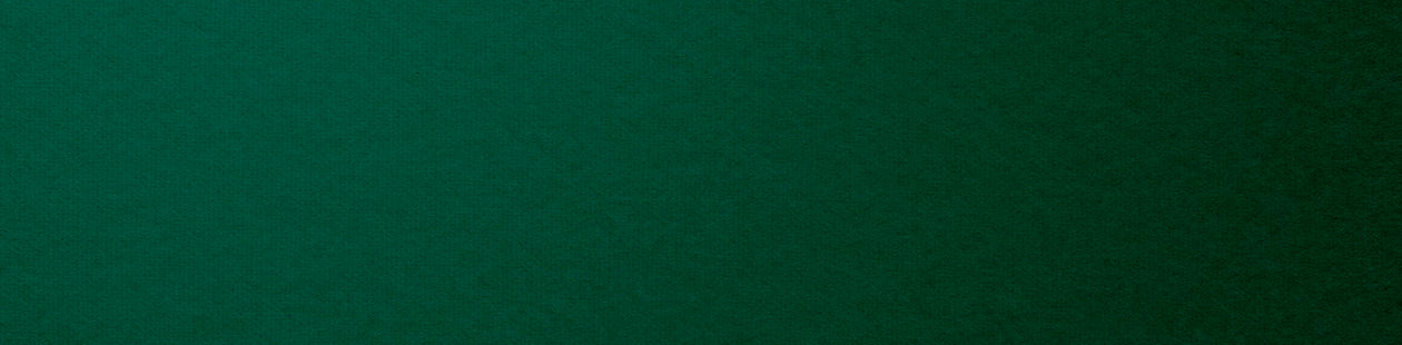 <strong>Need it for Christmas? </strong>👀