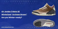 Air Jordan 3 Retro SE Winterized “Archaeo Brown”: Are you Winter-ready? - SOLE SERIOUSS