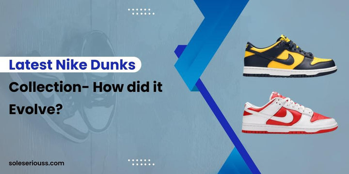 Latest Nike Dunks collection- How did it evolve? β SOLE SERIOUSS
