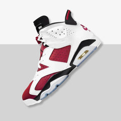Air Jordan 6 | SOLE SERIOUSS