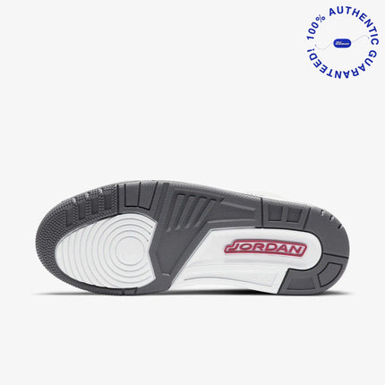 Air Jordan 3 Retro 'Cool Grey' (2021) | SOLE SERIOUSS [8]