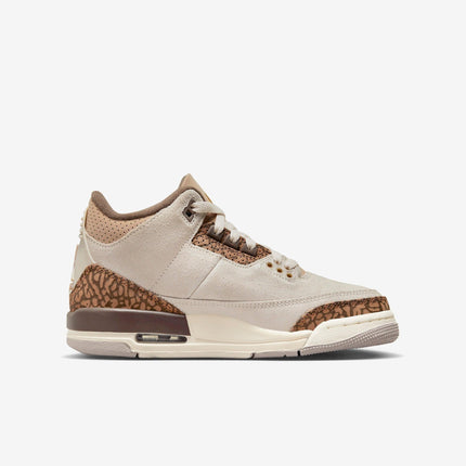 Air Jordan 3 Retro 'Palomino' (2023) (GS) | SOLE SERIOUSS [2]