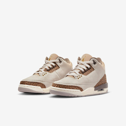 Air Jordan 3 Retro 'Palomino' (2023) (GS) | SOLE SERIOUSS [3]