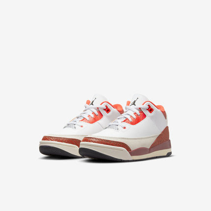 Air Jordan 3 Retro SE 'Dunk on Mars Stone' (2023) (PS) | SOLE SERIOUSS [3]
