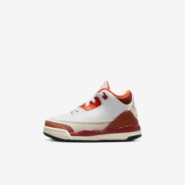Air Jordan 3 Retro SE 'Dunk on Mars Stone' (2023) (TD) | SOLE SERIOUSS [1]