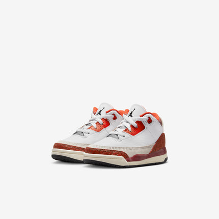 Air Jordan 3 Retro SE 'Dunk on Mars Stone' (2023) (TD) | SOLE SERIOUSS [3]