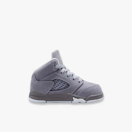Air Jordan 5 Retro 'Wolf Grey' (2026) (TD) | SOLE SERIOUSS [2]