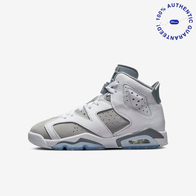 Air Jordan 6 Retro 'Cool Grey' (2023) (GS) | SOLE SERIOUSS [1]