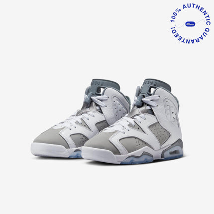 Air Jordan 6 Retro 'Cool Grey' (2023) (GS) | SOLE SERIOUSS [3]
