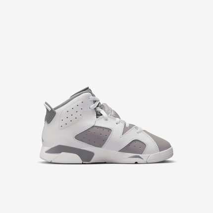 Air Jordan 6 Retro 'Cool Grey' (2023) (PS) | SOLE SERIOUSS [2]