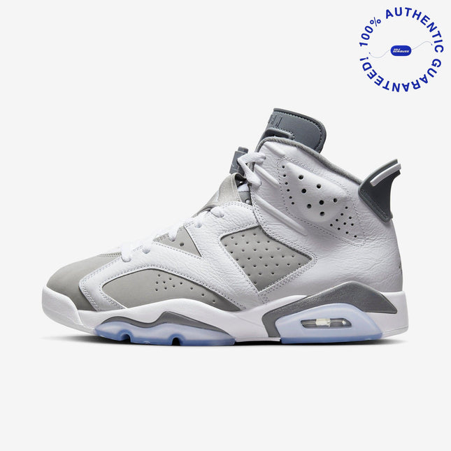 Air Jordan 6 Retro 'Cool Grey' (2023) | SOLE SERIOUSS [1]