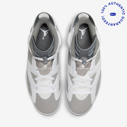 Air Jordan 6 Retro 'Cool Grey' (2023) | SOLE SERIOUSS [4]