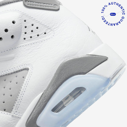 Air Jordan 6 Retro 'Cool Grey' (2023) | SOLE SERIOUSS [7]