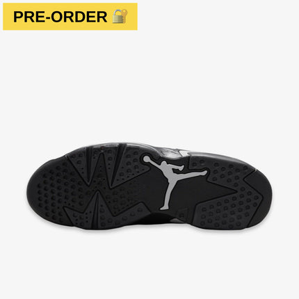 *PRE-ORDER* Air Jordan 6 Retro 'Cap and Gown' (2026)