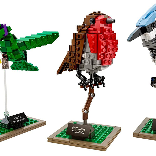 LEGO Ideas 'Birds' Building Kit (21301) - SOLE SERIOUSS (1)