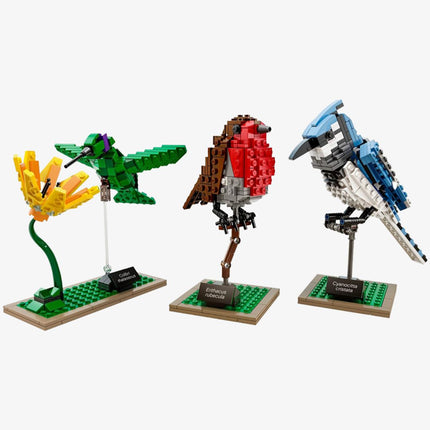 LEGO Ideas 'Birds' Building Kit (21301) - SOLE SERIOUSS (1)