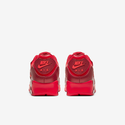 (Men's) Nike Air Max 90 'City Special Chicago' (2021) DH0146-600 - SOLE SERIOUSS (5)