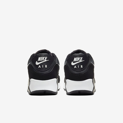 (Men's) Nike Air Max 90 'Iron Grey / White' (2020) CN8490-002 - SOLE SERIOUSS (5)