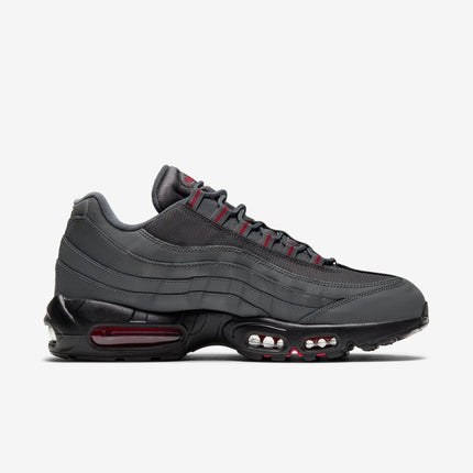 (Men's) Nike Air Max 95 'Iron Grey' () DC4115-002 - SOLE SERIOUSS (2)