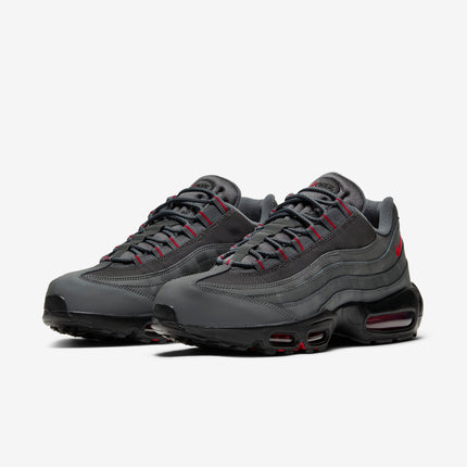 (Men's) Nike Air Max 95 'Iron Grey' () DC4115-002 - SOLE SERIOUSS (3)