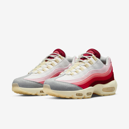 (Men's) Nike Air Max 95 QS 'Anatomy of Air' (2022) DM0012-600 - SOLE SERIOUSS (3)