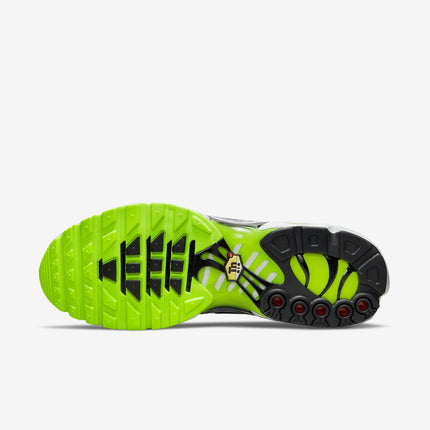 (Men's) Nike Air Max Plus 'Platinum Grey Reflective Logos' (2022) DB0682-002 - SOLE SERIOUSS (8)