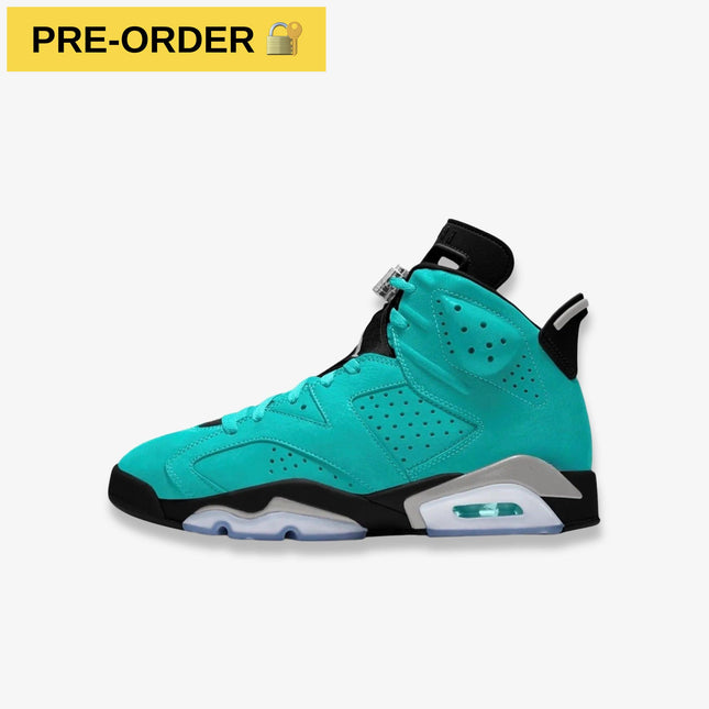 *PRE-ORDER* Air Jordan 6 Retro 'Light Aqua' (2026) (GS) | SOLE SERIOUSS [1]