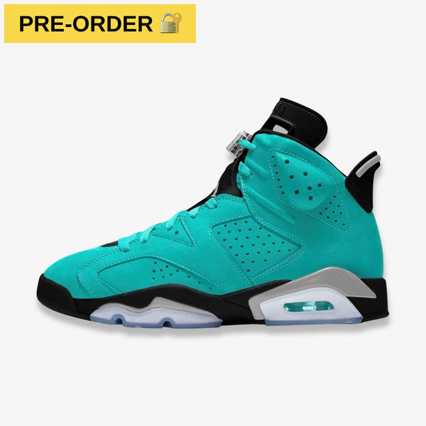 PRE-ORDER-Air-Jordan-6-Retro-