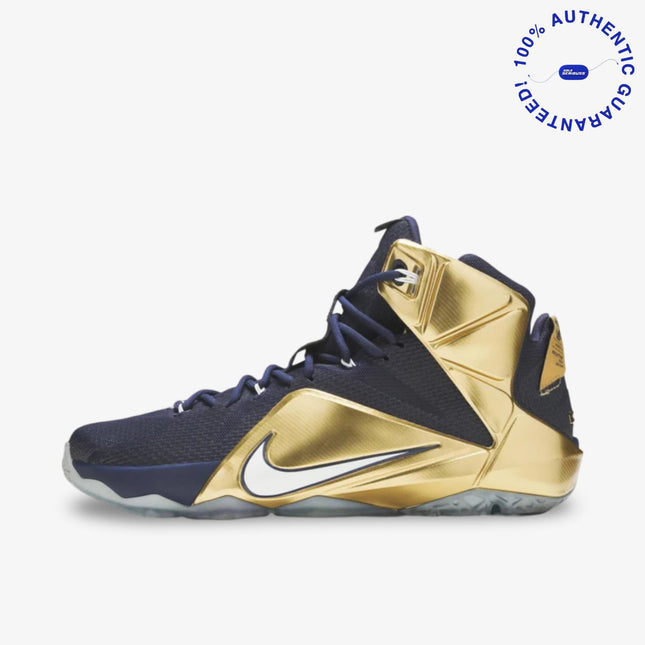 *SAMPLE* Nike LeBron 12 PE 'Akron' (2014) | SOLE SERIOUSS [1]