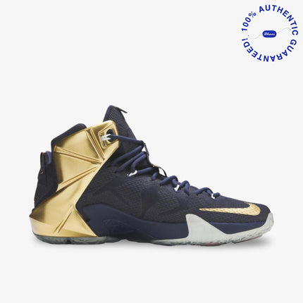 *SAMPLE* Nike LeBron 12 PE 'Akron' (2014) | SOLE SERIOUSS [2]