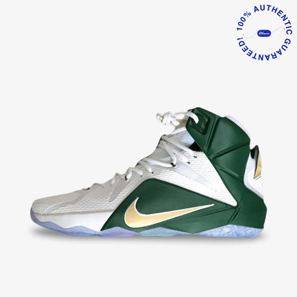 *SAMPLE* Nike LeBron 12 PE 'SVSM St. Vincent St. Mary Home' (2015) | SOLE SERIOUSS [1]