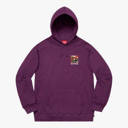 Supreme Hooded Sweatshirt 'Butthole Surfers' Eggplant (SS21) - SOLE SERIOUSS (1)