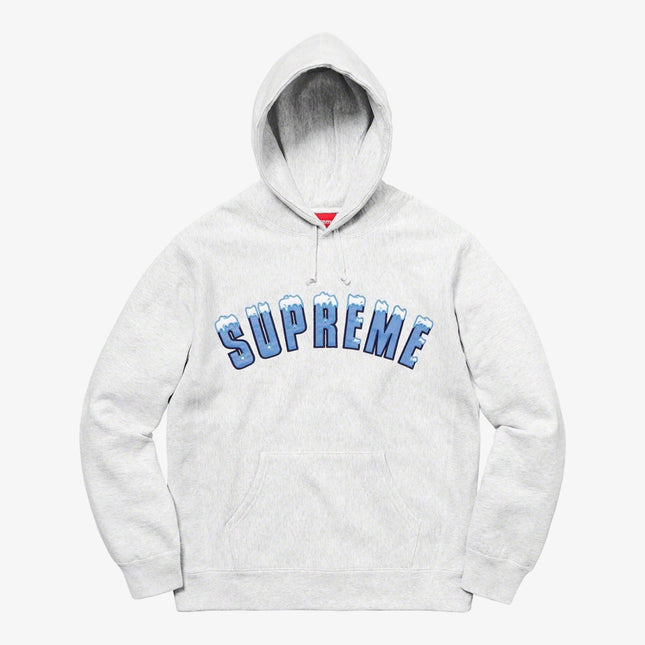 Supreme Hooded Sweatshirt 'Icy Arc' Ash Grey (FW20) - SOLE SERIOUSS (1)