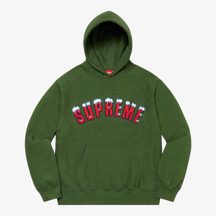 Supreme Hooded Sweatshirt 'Icy Arc' Green FW20 - SOLE SERIOUSS (1)