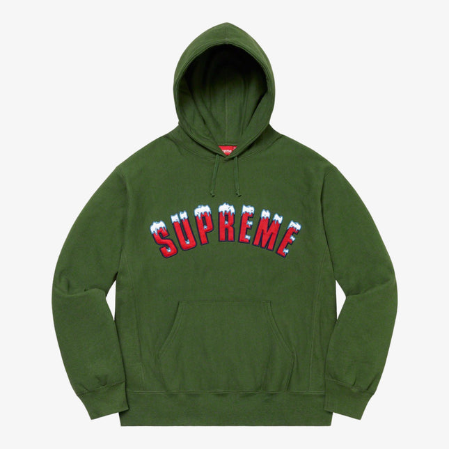 Supreme Hooded Sweatshirt 'Icy Arc' Green (FW20) - SOLE SERIOUSS (1)