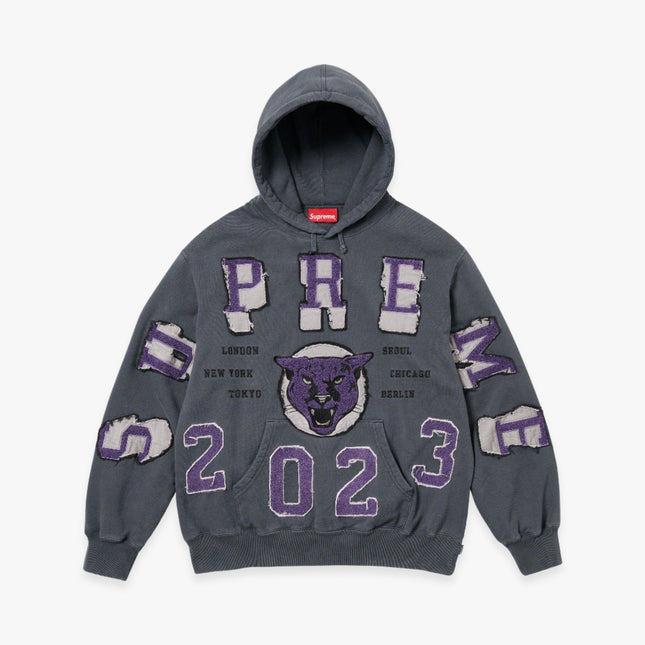 Supreme Hooded Sweatshirt 'Washed Panther' Black FW23 - SOLE SERIOUSS (1)