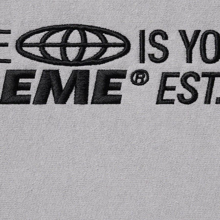 Supreme Hooded Sweatshirt 'World Is Yours' Grey (SS21) - SOLE SERIOUSS (2)