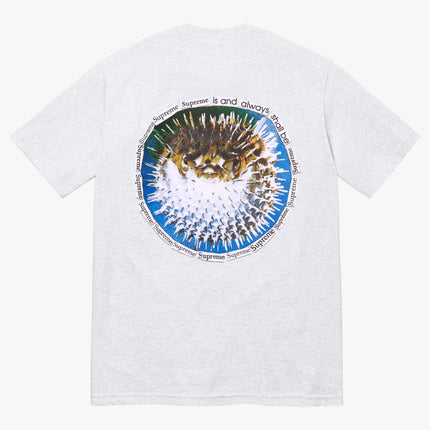 Supreme Tee 'Blowfish' Ash Grey (SS23) - SOLE SERIOUSS (1)