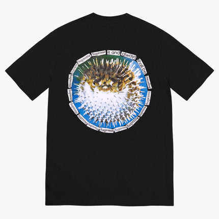 Supreme Tee 'Blowfish' Black (SS23) - SOLE SERIOUSS (1)