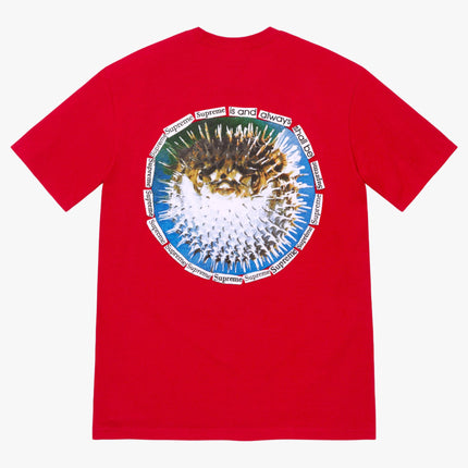 Supreme Tee 'Blowfish' Red (SS23) - SOLE SERIOUSS (1)