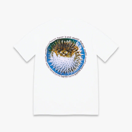 Supreme Tee 'Blowfish' White (SS23) - SOLE SERIOUSS (2)