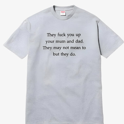 Supreme Tee 'They Fuck You Up' Heather Grey (FW16) - SOLE SERIOUSS (1)