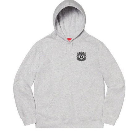 Supreme x Anti Hooded Sweatshirt Ash Grey FW20 - SOLE SERIOUSS (1)