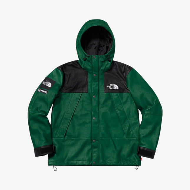 Supreme x The North Face Leather Mountain Parka Dark Green FW18 - SOLE SERIOUSS (1)