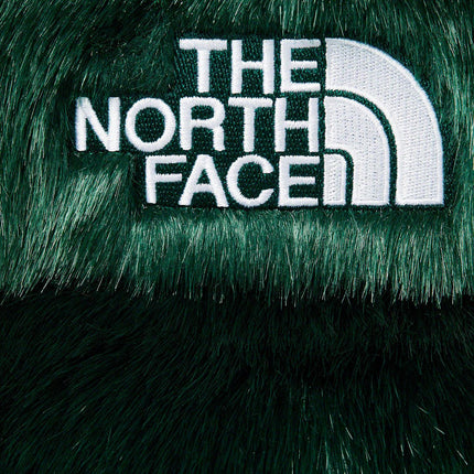 Supreme x The North Face Nuptse Jacket 'Faux Fur' Green FW20 - SOLE SERIOUSS (4)