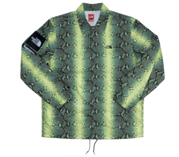 Supreme x The North Face Taped Seam Coaches Jacket 'Snakeskin' Green SS18 - SOLE SERIOUSS (1)