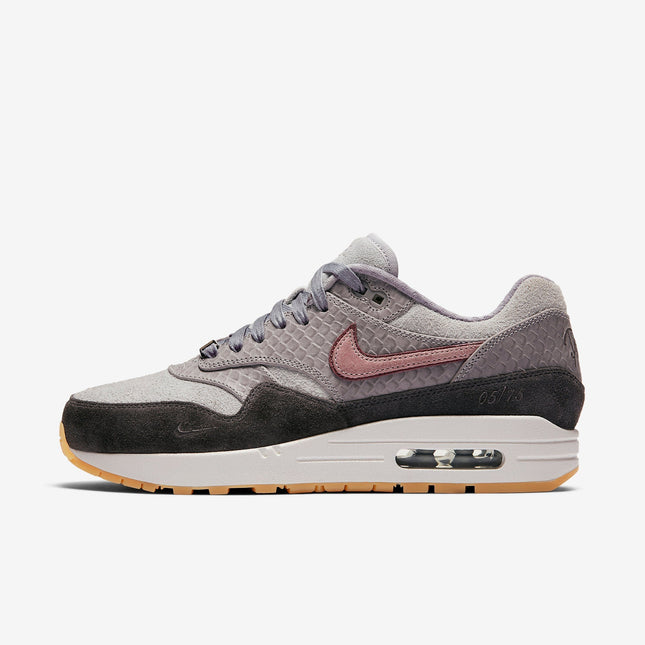 (Women's) Nike Air Max 1 30th Anniversary 'Paris' (2017) AO0864-991 - SOLE SERIOUSS (1)