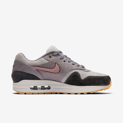 (Women's) Nike Air Max 1 30th Anniversary 'Paris' (2017) AO0864-991 - SOLE SERIOUSS (2)