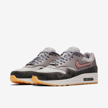 (Women's) Nike Air Max 1 30th Anniversary 'Paris' (2017) AO0864-991 - SOLE SERIOUSS (3)