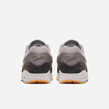 (Women's) Nike Air Max 1 30th Anniversary 'Paris' (2017) AO0864-991 - SOLE SERIOUSS (5)